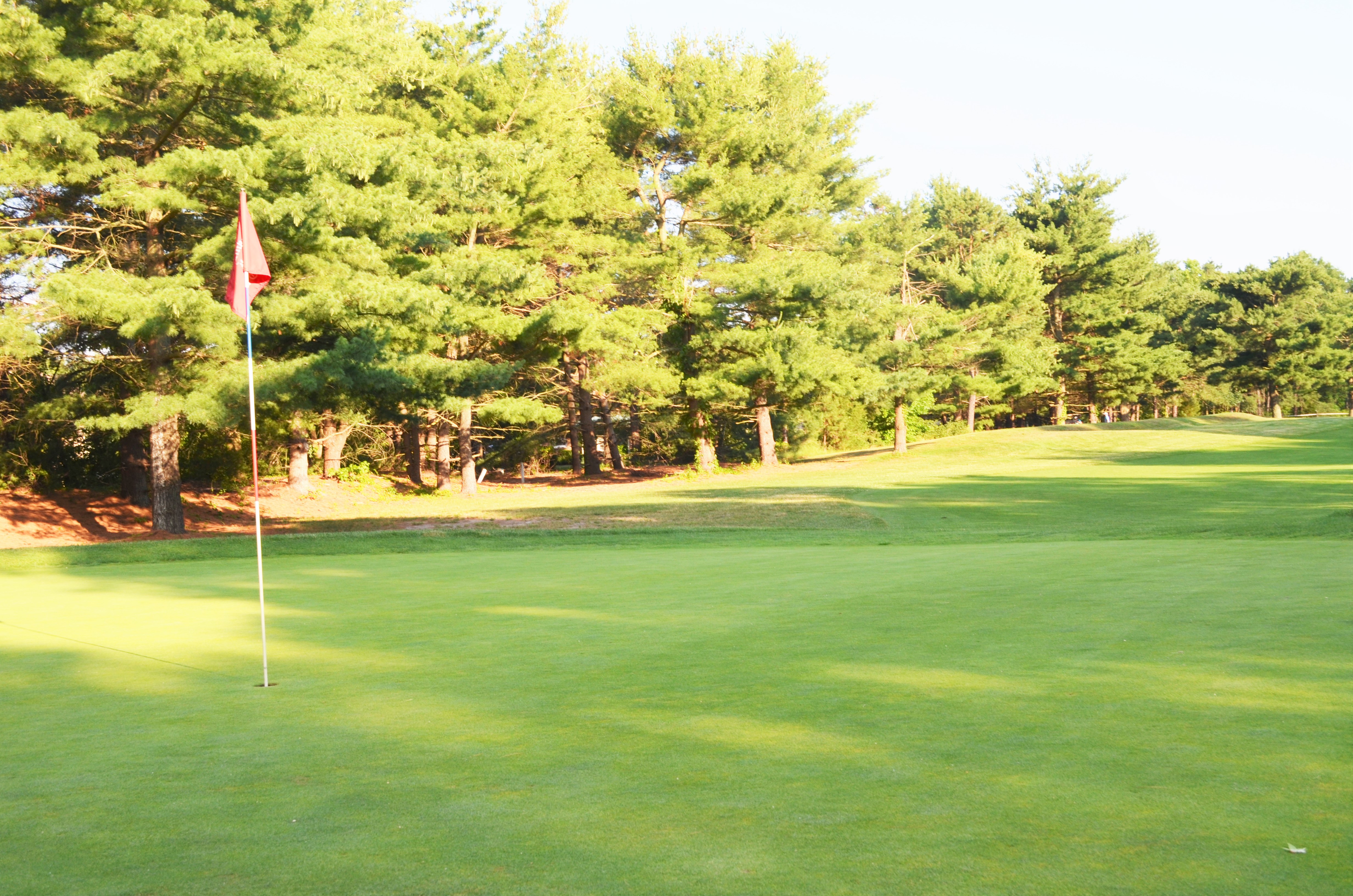 View of Golf Course Green